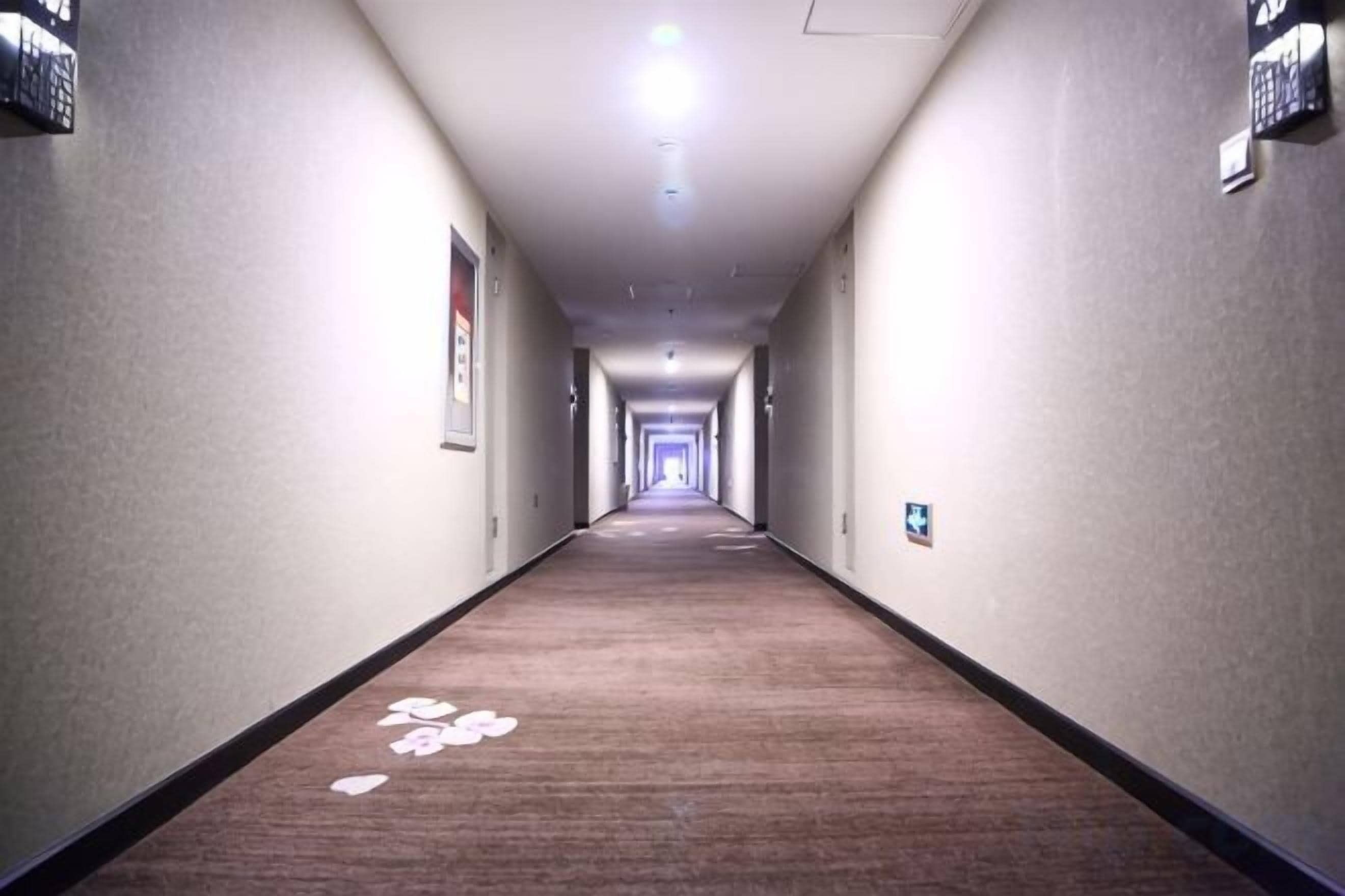 A hotel hallway with carpeted floors, framed pictures on the walls, and a sign indicating the direction to the elevator.