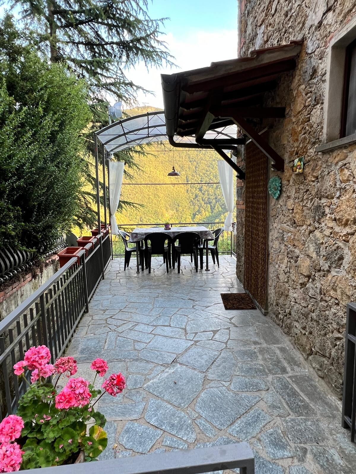 تناول الطعام بالخارج