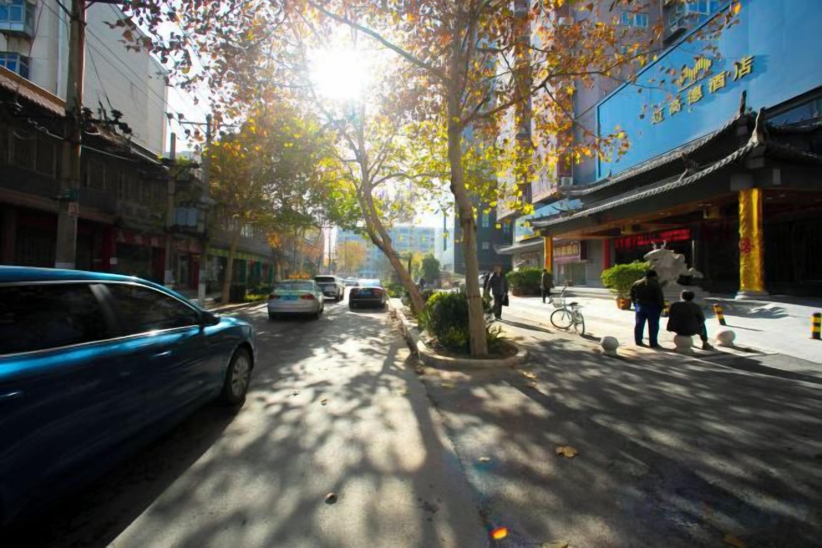 Une rue bordée de voitures garées, un arbre aux feuilles jaunes et des bâtiments avec des enseignes.