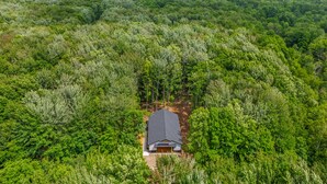 A house surrounded by dense forest with a clear view of the surrounding landscape. - Secluded Getaway,  Centrally located newly built barndo, AC & WIFI (Elmira)
