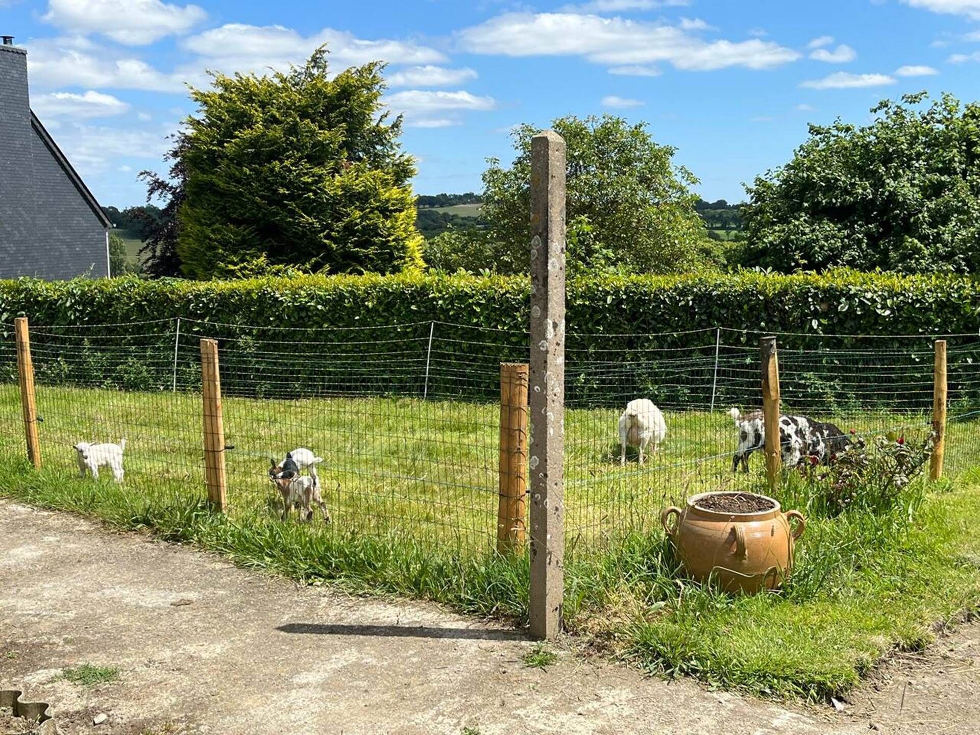 Enceinte de l’hébergement