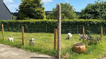 Parco della struttura