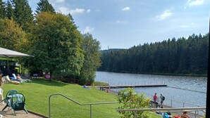 A lakeside park with a grassy area, a small tree, and a dock.