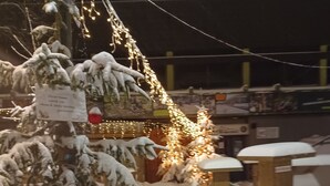 A snow-covered Christmas tree with lights and ornaments, a sign, and a bench in a snowy outdoor setting.