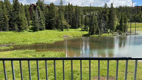 Terrain de l’hébergement 