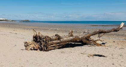 Sea Salt, Tenby - Four Bedroom Cottage, Sleeps 8