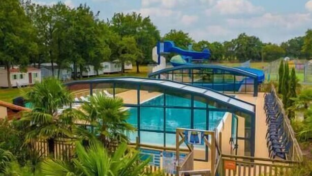 Une piscine dotée d’une structure en verre, entourée de palmiers et agrémentée d’une terrasse avec des chaises longues.