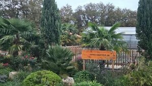 Une pancarte indiquant « SPREE AQUARIUM » se trouve au milieu d’un jardin où poussent différentes plantes et arbres.