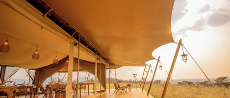 An open-air dining area with wooden tables and chairs, a large canopy overhead, and a view of the savannah with acacia trees.