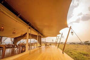 Un espacio de comedor al aire libre con mesas y sillas de madera, un gran toldo sobre la cabeza y vistas a la sabana con árboles de acacia.