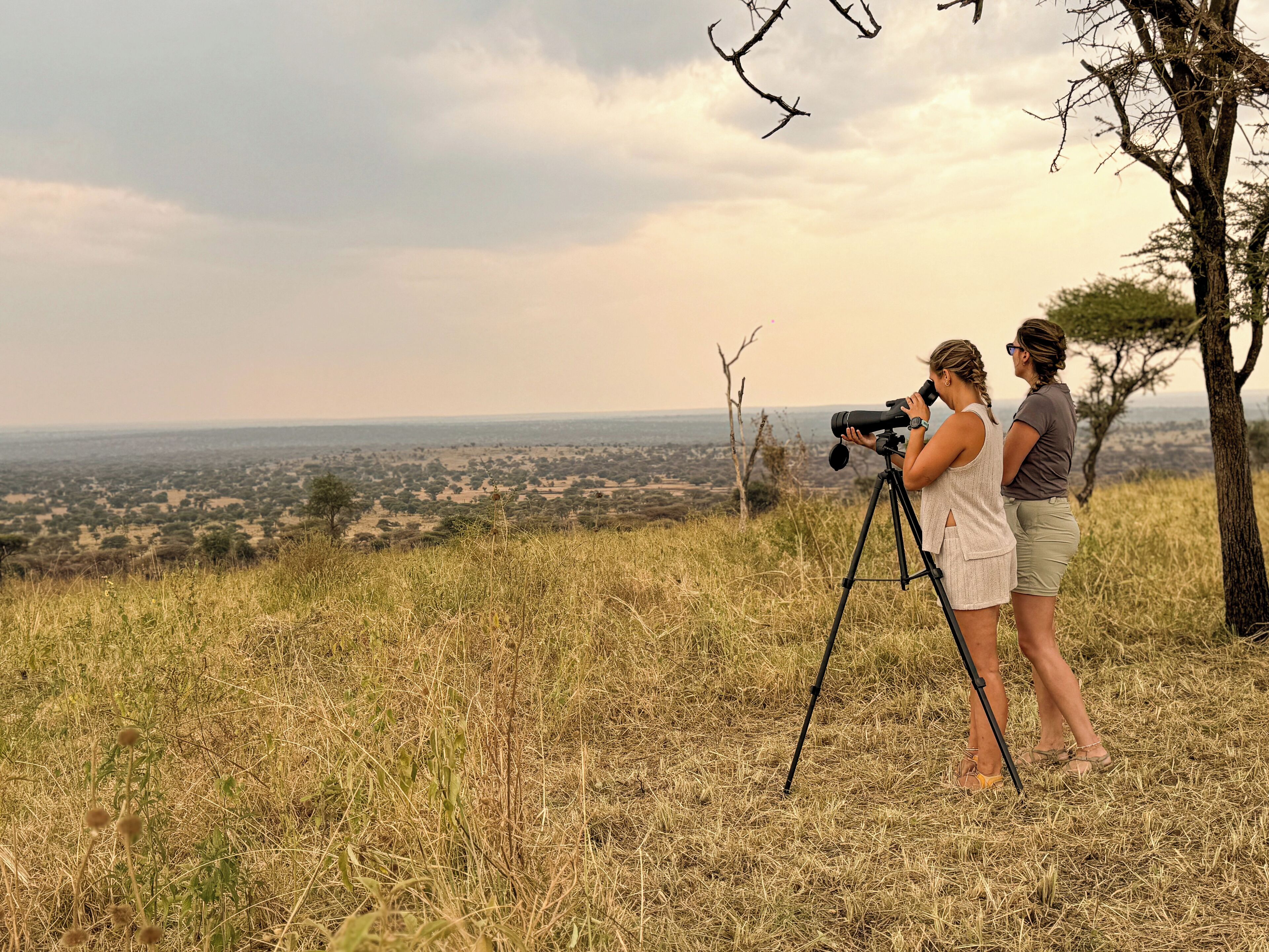 Dos personas observando un paisaje extenso con un telescopio en una colina cubierta de hierba.