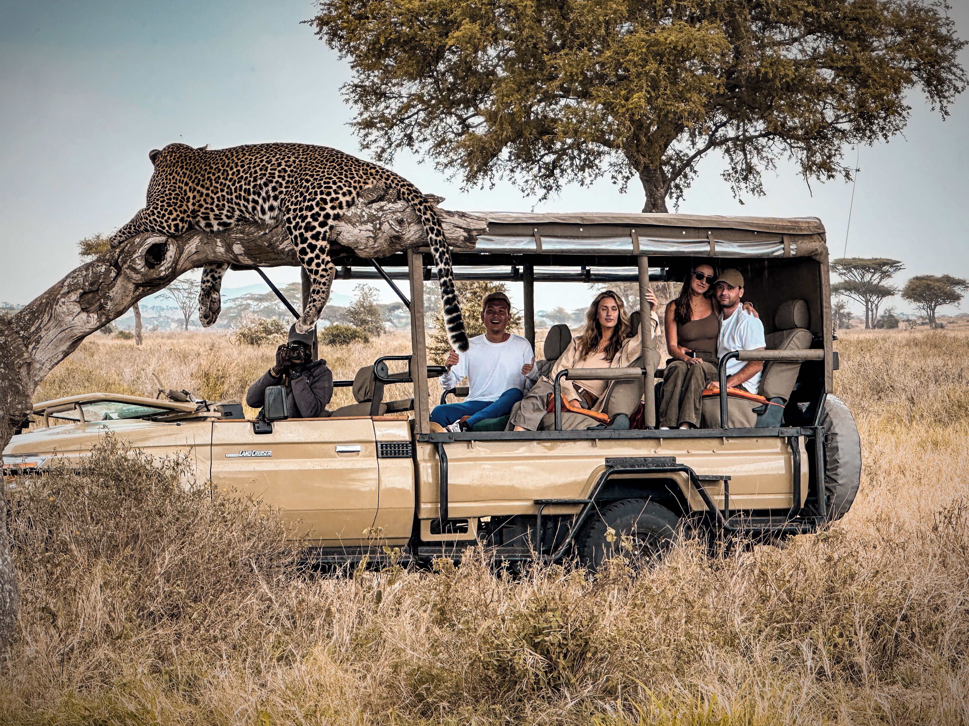 A safari vehicle with passengers observing a giraffe.