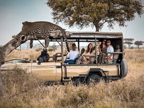 Game drive