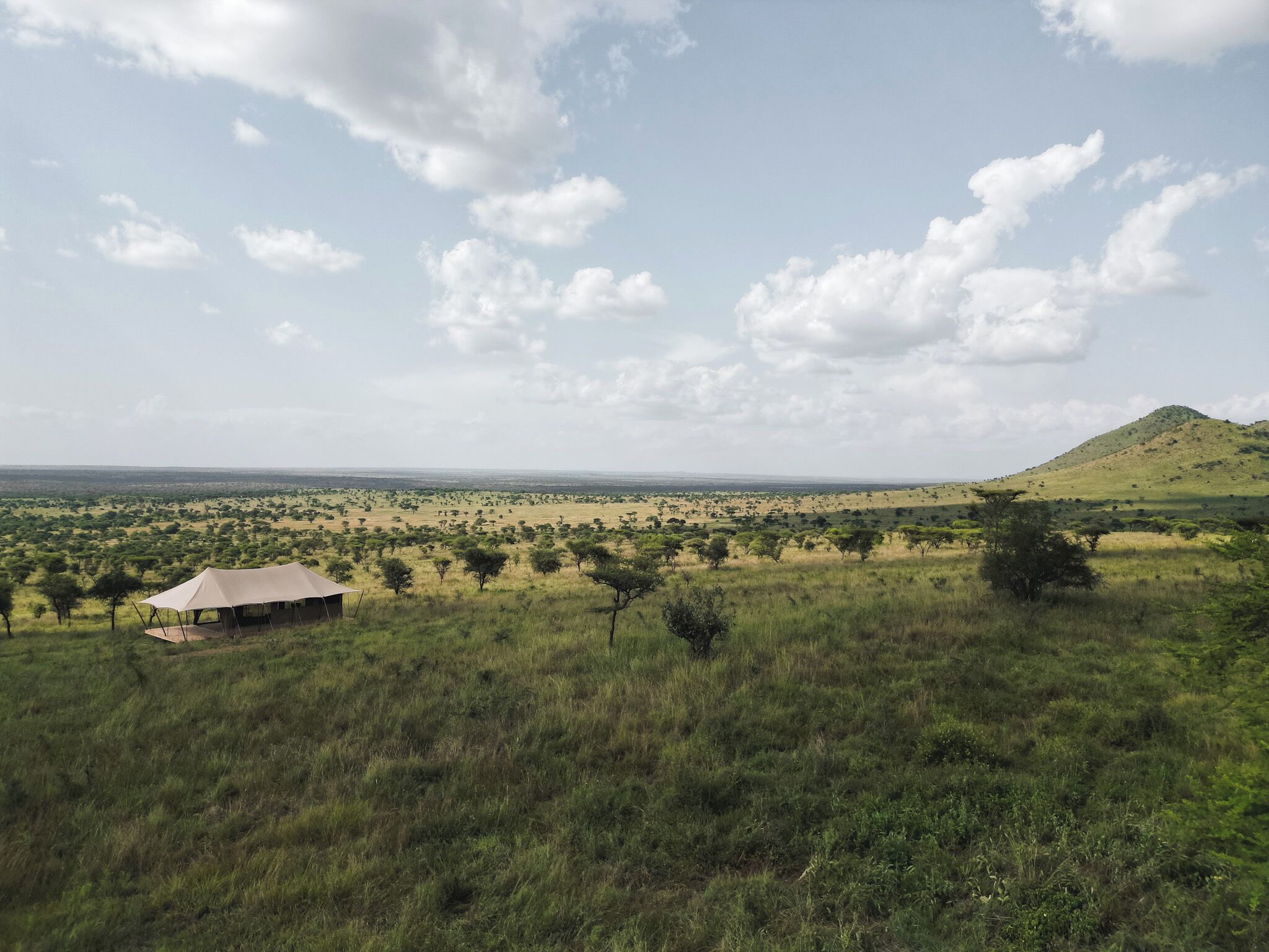 A tented area with a view of a savannah landscape, including a hill and scattered trees.