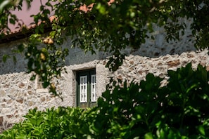 Detalle exterior