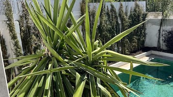 House | Pool | Indoor pool