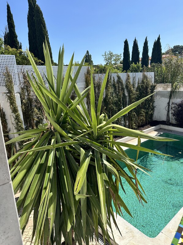 Casa | Piscina | Piscina interna