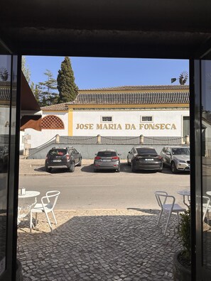 House | Property grounds