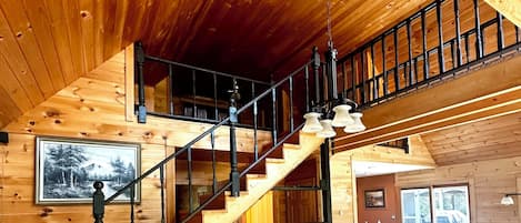 TV connectée, cheminée, lecteur de DVD, livres