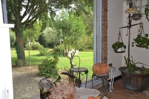 Interior - Country villa with private pool surrounded by greenery. With barbecue and patio (Lazio)