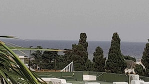 A coastal view with tall cypress trees and a clear sky. - Dar Lella (Bizerte)