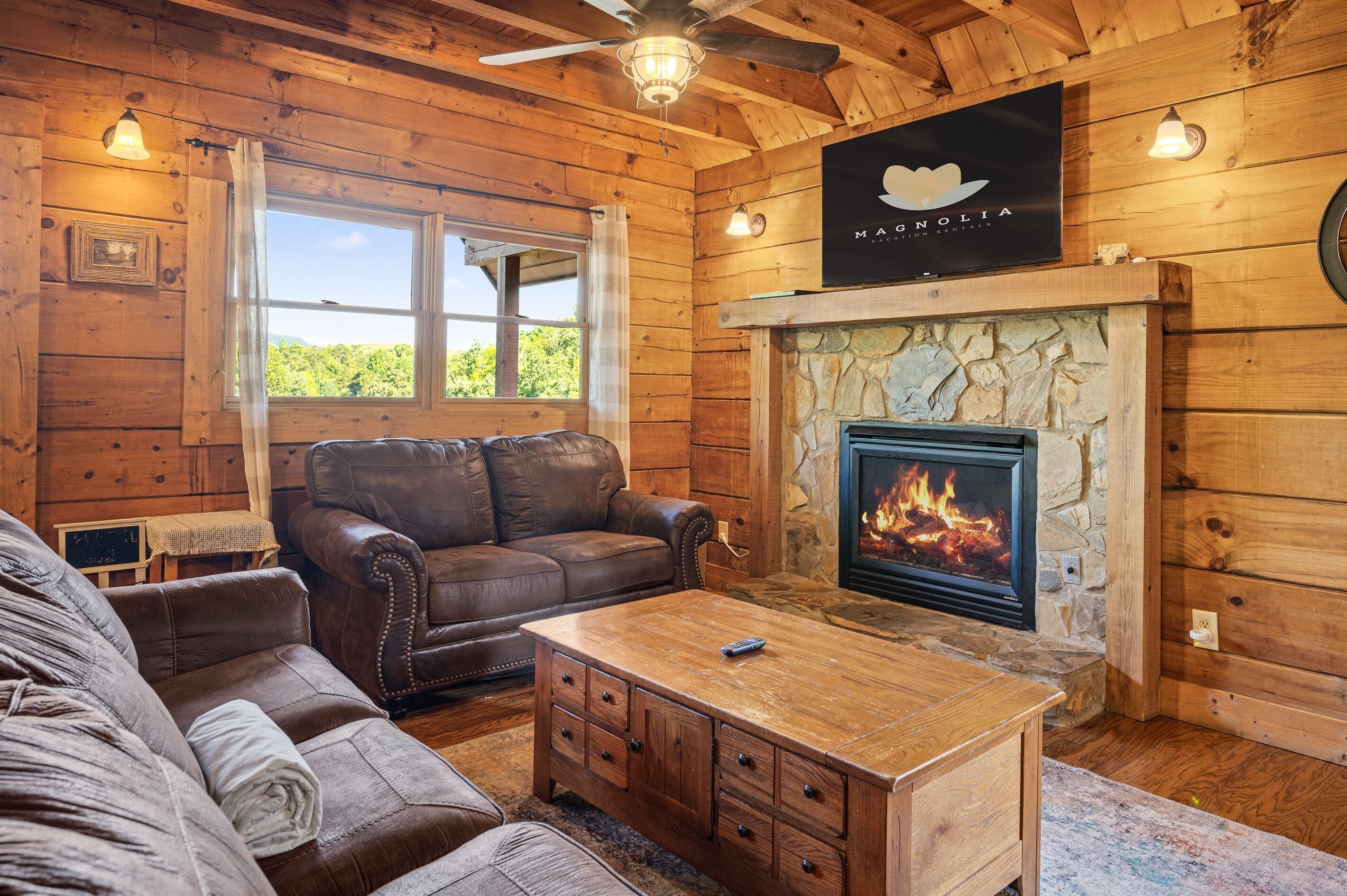 TV, fireplace, video games