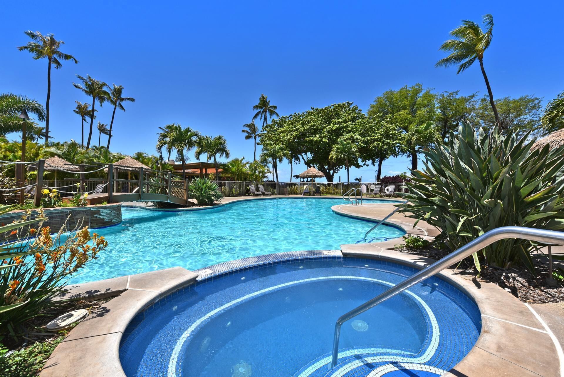 A swimming pool with a hot tub, surrounded by palm trees and lounge chairs.