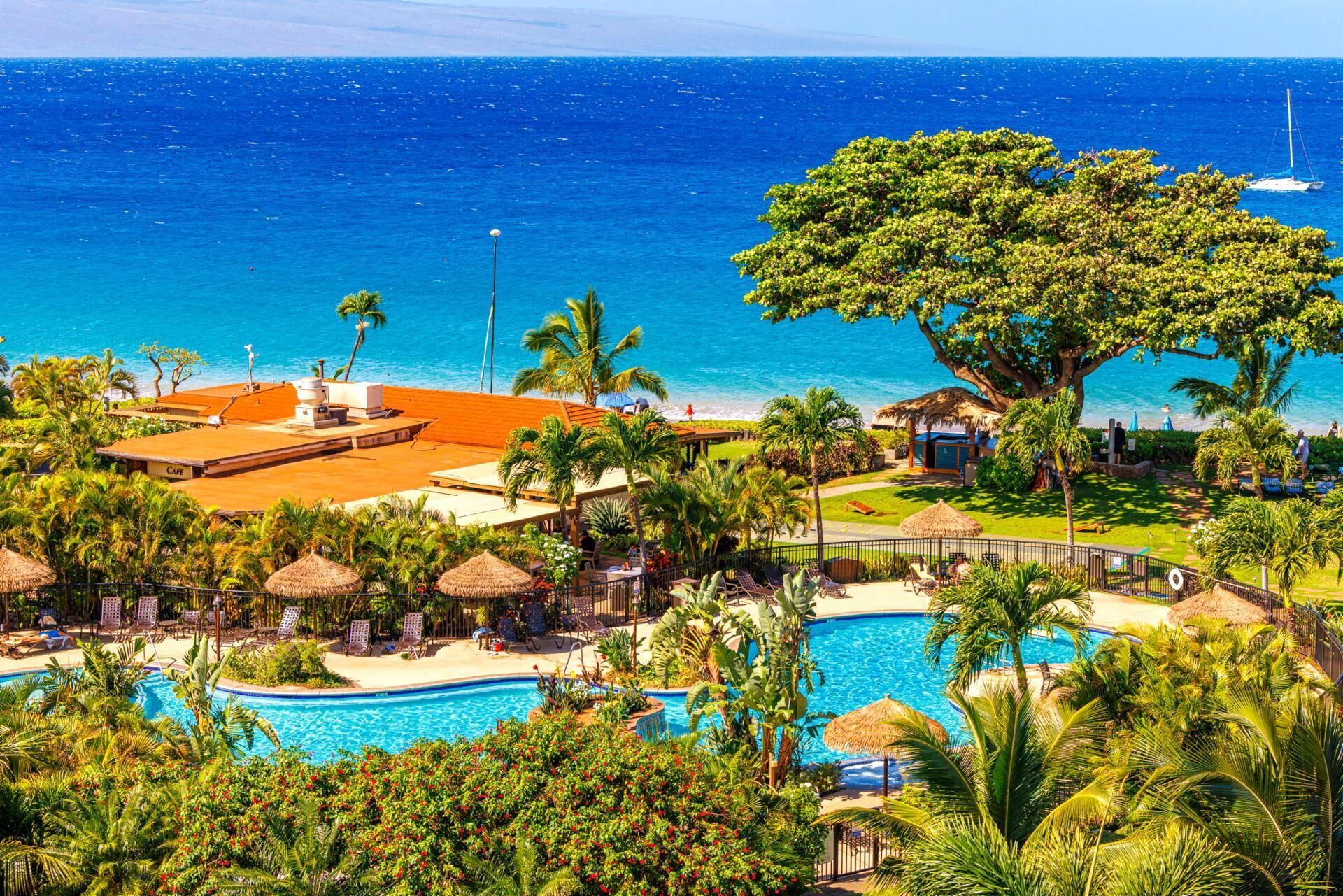 Appart'hôtel | Piscine