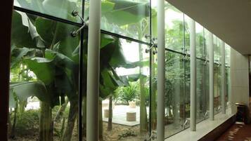 A corridor with large glass windows and a view of a garden with large leaves and plants.