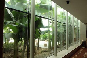 Un pasillo con amplios ventanales y vistas a un jardín con hojas y plantas grandes.