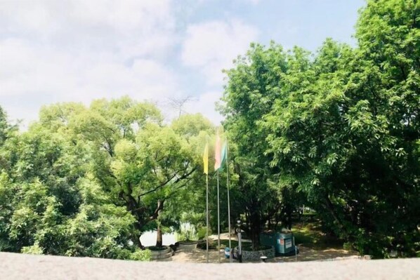 Área da propriedade