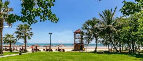 A beachside view with a grassy area, palm trees, and a beach in the background.