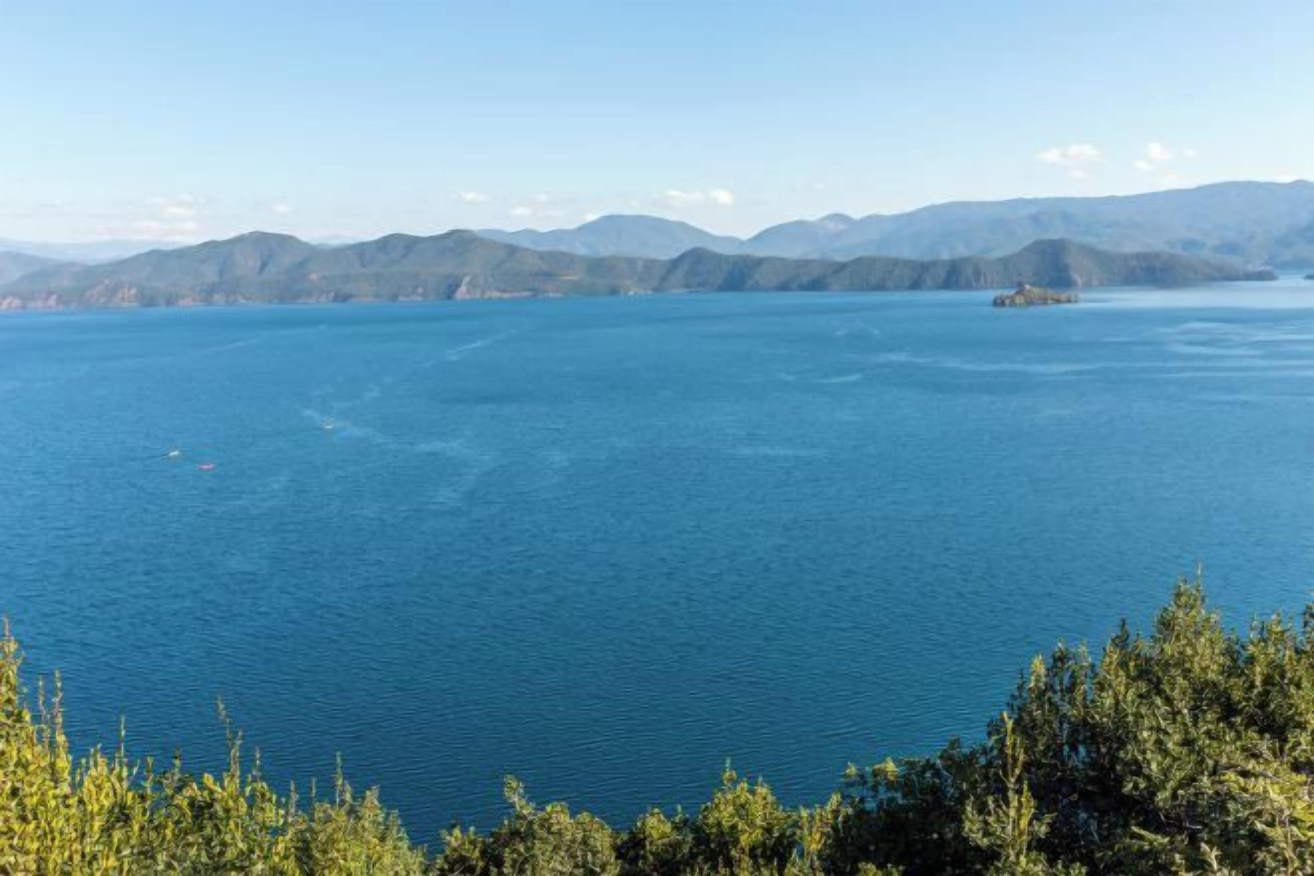 A large body of water with a distant landmass and trees in the foreground.