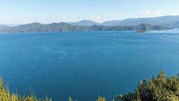 A large body of water with a distant landmass and trees in the foreground.
