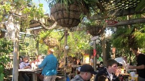 Ein Essbereich im Freien mit Tischen und Stühlen, umgeben von viel Grün und einer Holzpergola.
