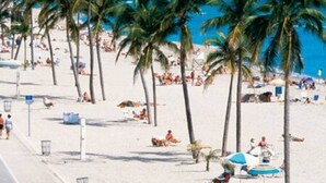 Ein Strand mit Palmen und Menschen, die sich sonnen.