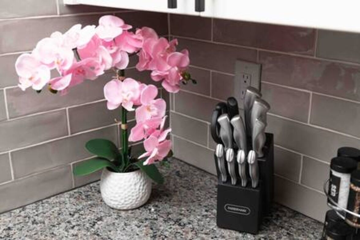 A kitchen with a granite countertop, a potted orchid, and a knife block.