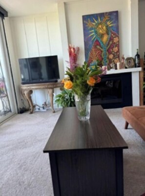 TV connectée, cheminée, livres