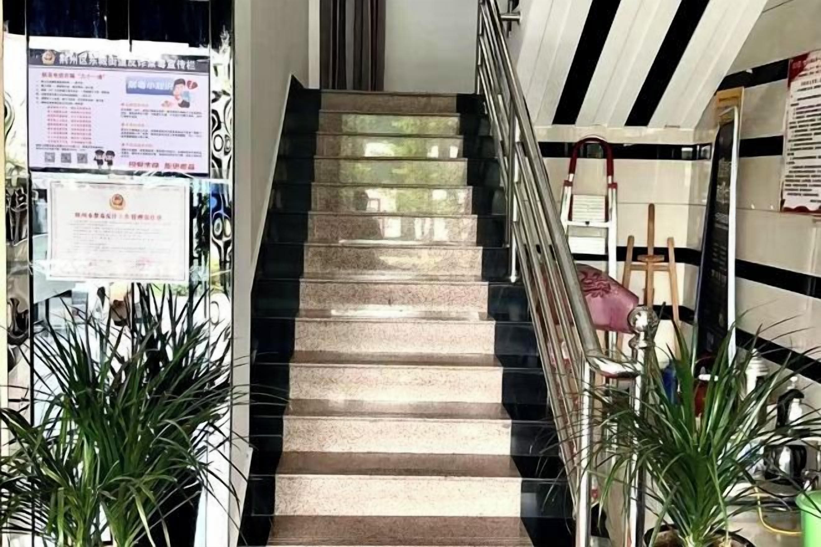 Un escalier muni de rampes, entouré de plantes en pot, et des panneaux d’information fixés aux murs.