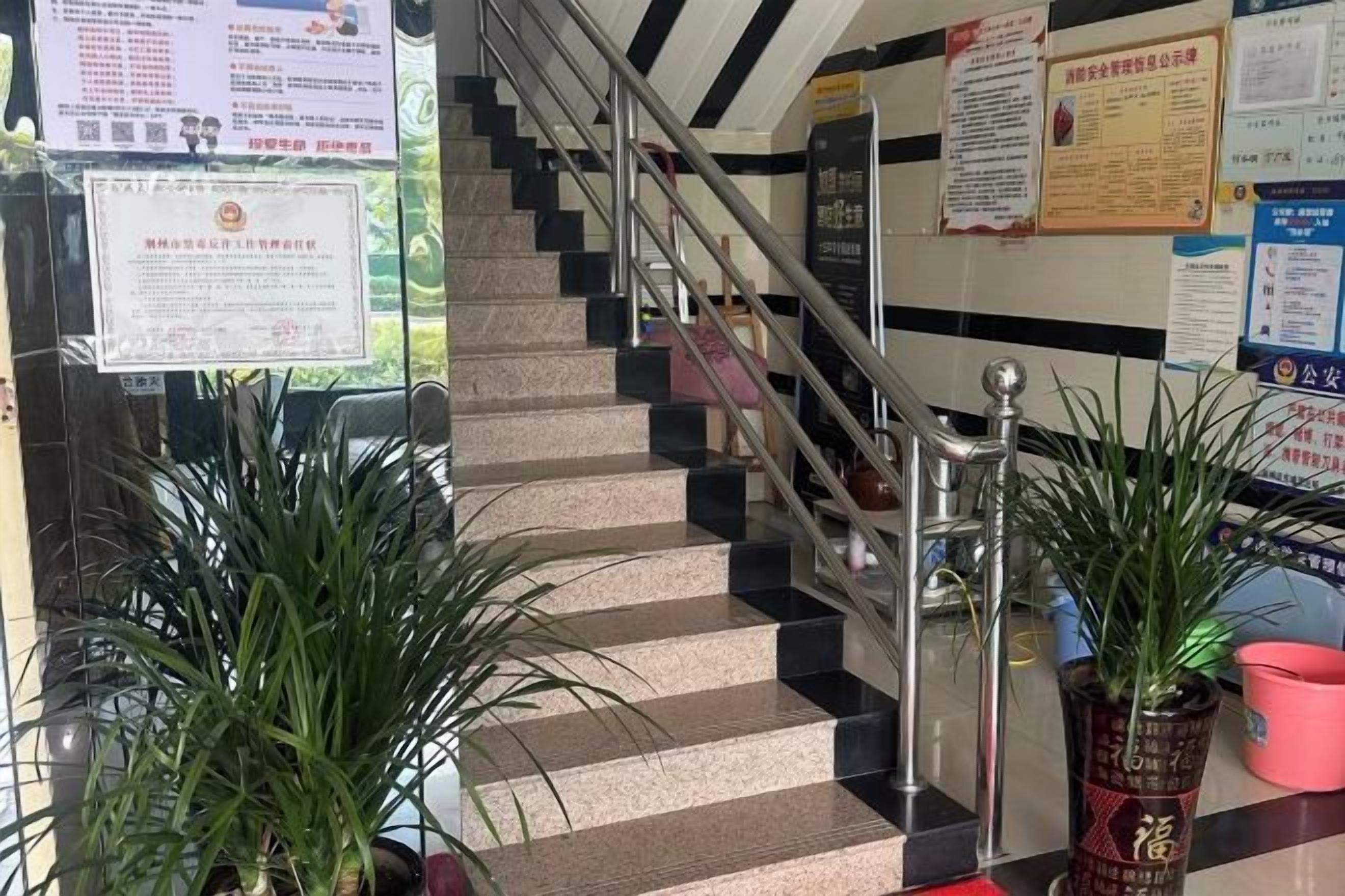 A staircase with handrails, potted plants, and informational posters.