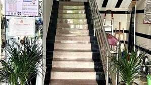A staircase with a metal railing, surrounded by potted plants.