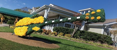 Área da propriedade