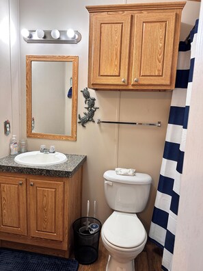 Un baño con armarios de madera, un lavabo, un espejo, un inodoro y una cortina de ducha.