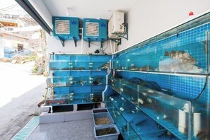 Restaurant - Zhoushan Dongji Meeting honey hall homestay (Zhoushan)