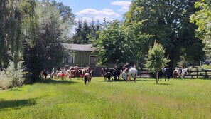 Eine Gruppe von Menschen reitet Pferde über ein grünes Feld mit Bäumen und einem Gebäude im Hintergrund.