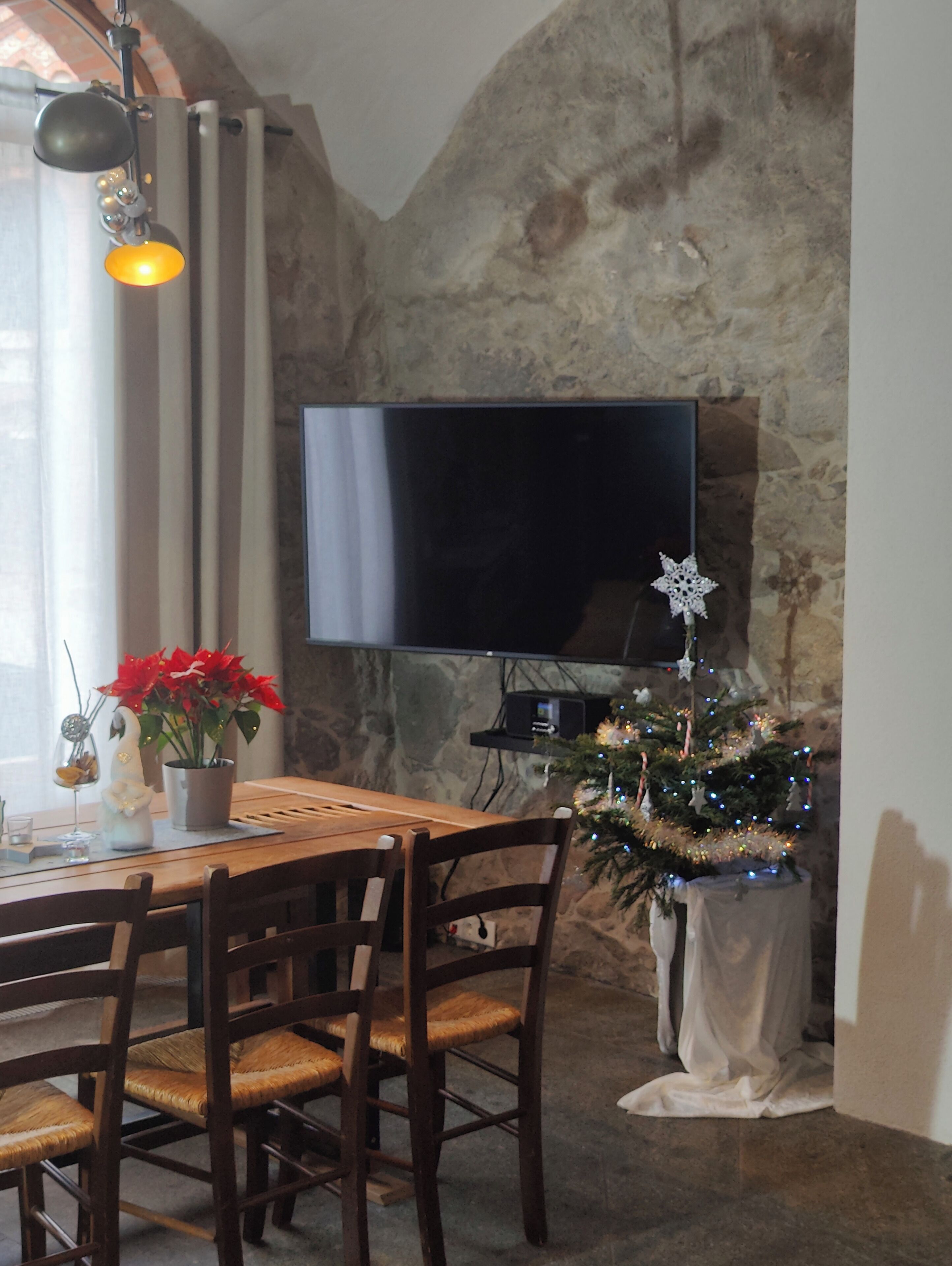 A dining area with a stone wall, a flat-screen TV mounted on the wall, a wooden table with chairs, a Christmas tree with lights, and a potted plant with red flowers.