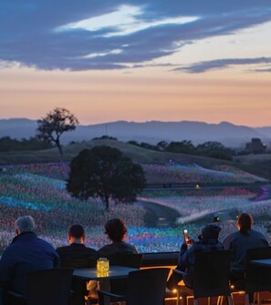 A group of people seated at tables outdoors, overlooking a landscape with hills and a tree. - Casa LoJo - a taste of old Paso in the heart of downtown. (Paso Robles)