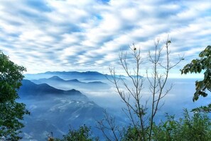 Miscellaneous - Beverly Hills (Nantou)