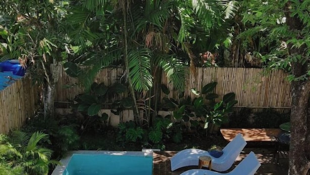 A pool with lounge chairs and dense tropical foliage. - Sense of Haiya (Chiang Mai)