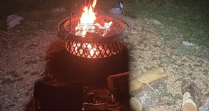 Welcome to Bears Playground, a camping site in Check where nature welcomes you